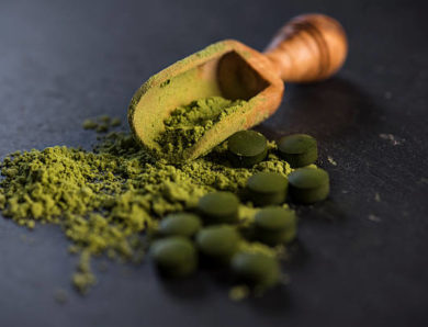 Chlorella – die Alge mit wesentlichen Gesundheitsvorteilen